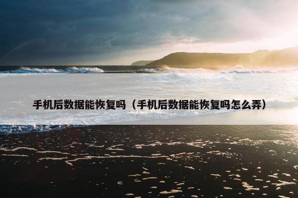手机后数据能恢复吗（手机后数据能恢复吗怎么弄）
