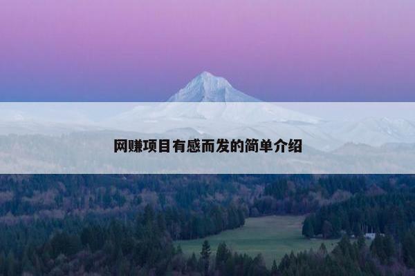 网赚项目有感而发的简单介绍