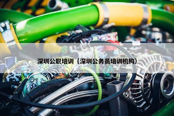 深圳公职培训（深圳公务员培训机构）