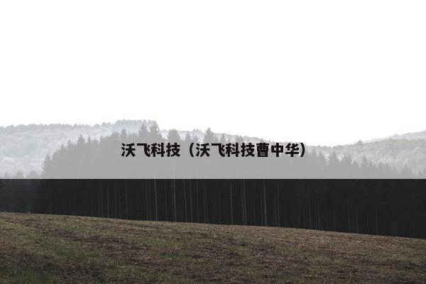 沃飞科技（沃飞科技曹中华）