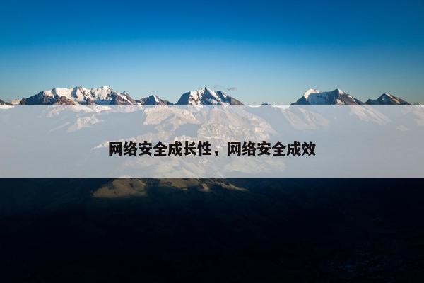 网络安全成长性，网络安全成效