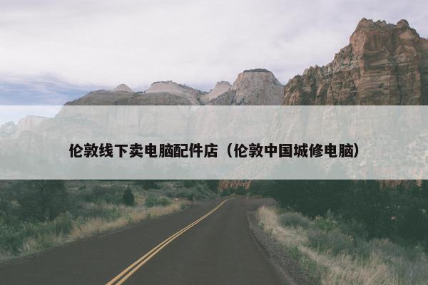 伦敦线下卖电脑配件店（伦敦中国城修电脑）