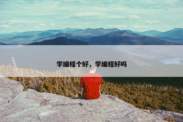 学编程个好，学编程好吗