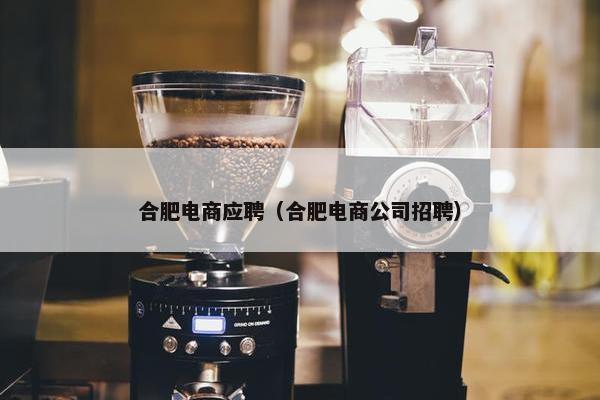 合肥电商应聘（合肥电商公司招聘）