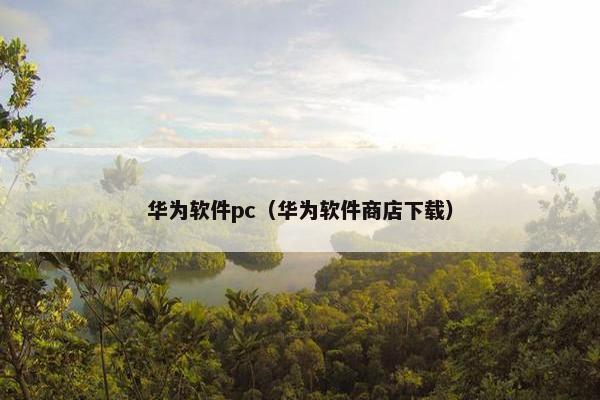华为软件pc（华为软件商店下载）