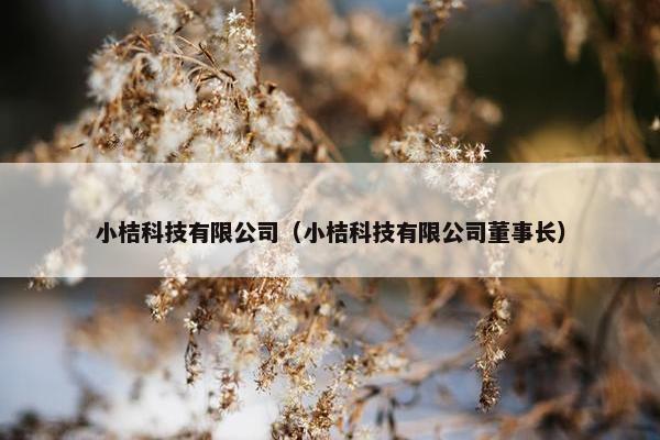 小桔科技有限公司（小桔科技有限公司董事长）