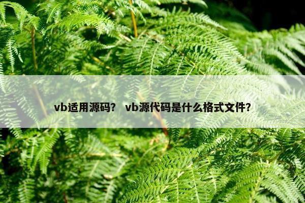 vb适用源码？ vb源代码是什么格式文件？