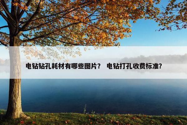 电钻钻孔耗材有哪些图片？ 电钻打孔收费标准？