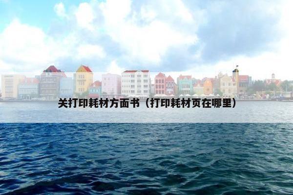关打印耗材方面书（打印耗材页在哪里）