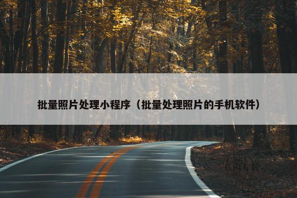 批量照片处理小程序（批量处理照片的手机软件）
