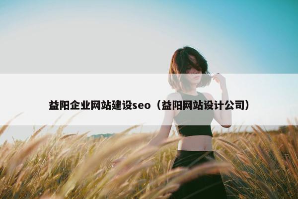 益阳企业网站建设seo（益阳网站设计公司）