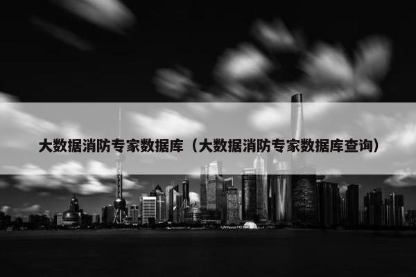 大数据消防专家数据库（大数据消防专家数据库查询）
