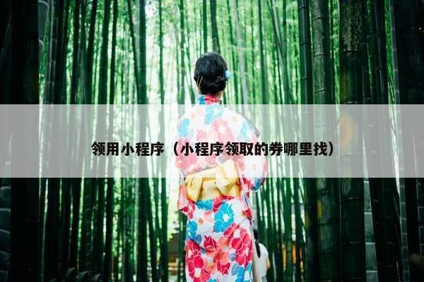 领用小程序（小程序领取的券哪里找）