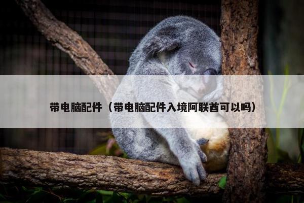 带电脑配件（带电脑配件入境阿联酋可以吗）