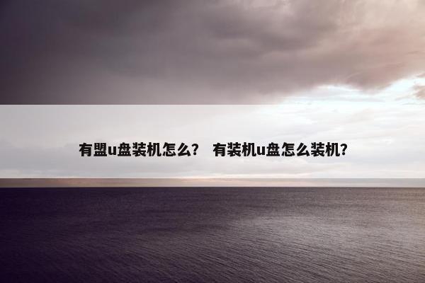 有盟u盘装机怎么？ 有装机u盘怎么装机？