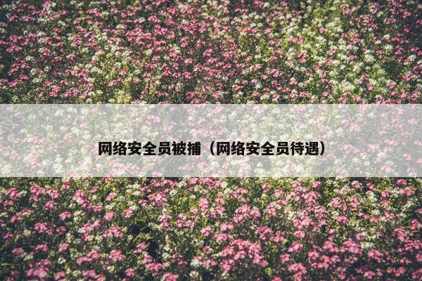 网络安全员被捕（网络安全员待遇）