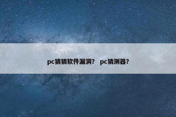 pc猜猜软件漏洞？ pc猜测器？