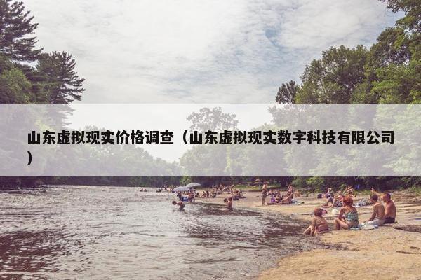 山东虚拟现实价格调查（山东虚拟现实数字科技有限公司）