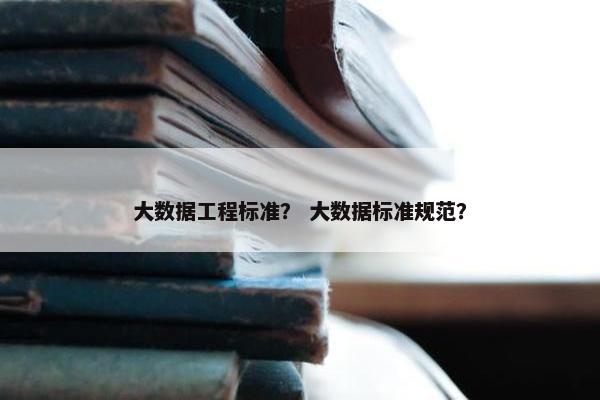 大数据工程标准？ 大数据标准规范？