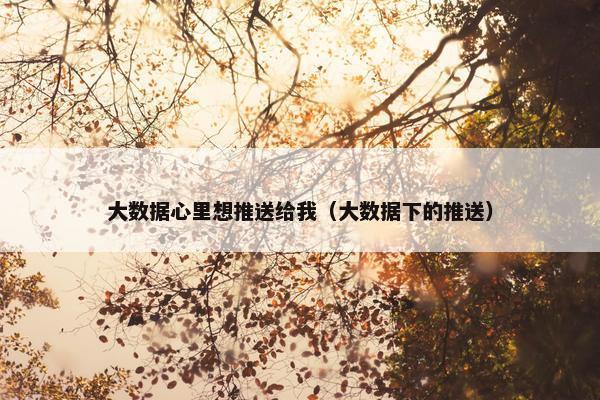 大数据心里想推送给我（大数据下的推送）