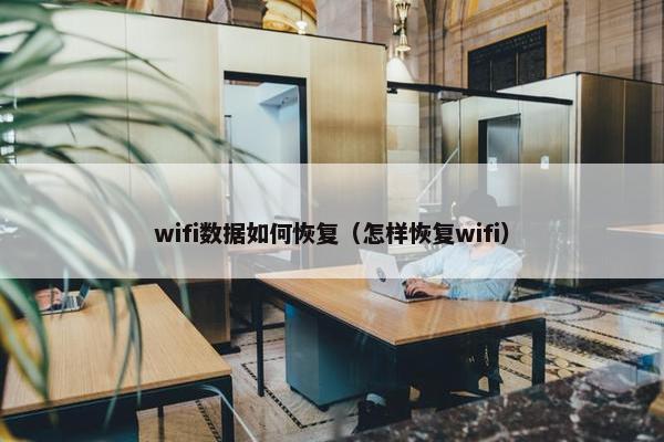 wifi数据如何恢复（怎样恢复wifi）
