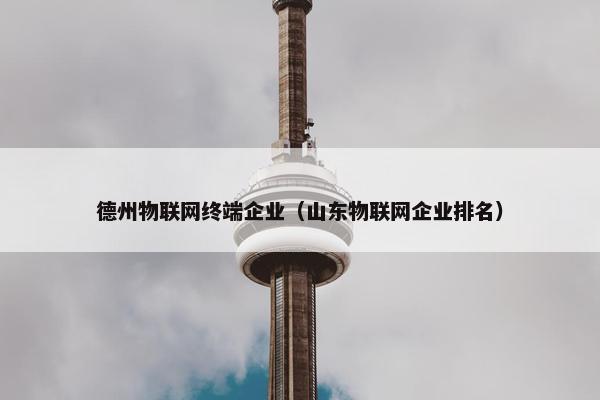 德州物联网终端企业（山东物联网企业排名）