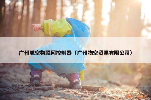 广州航空物联网控制器（广州物空贸易有限公司）
