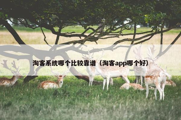 淘客系统哪个比较靠谱（淘客app哪个好）
