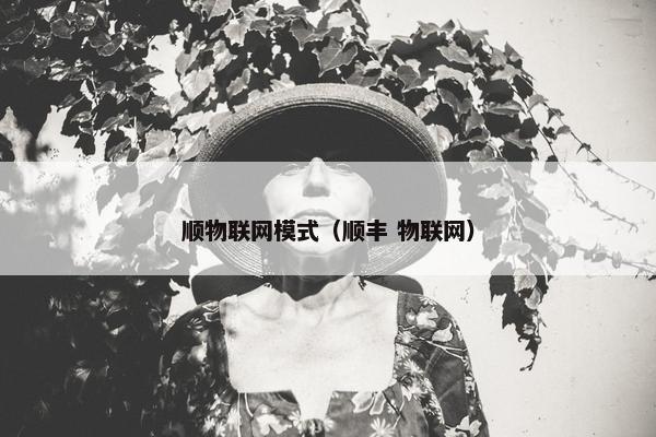 顺物联网模式（顺丰 物联网）