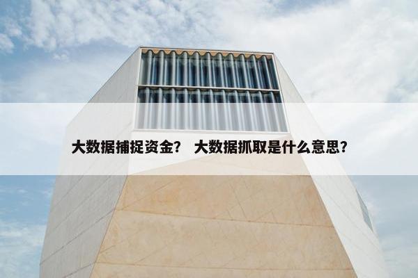 大数据捕捉资金？ 大数据抓取是什么意思？