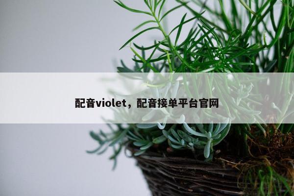 配音violet，配音接单平台官网