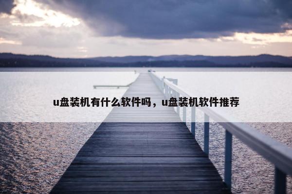 u盘装机有什么软件吗，u盘装机软件推荐