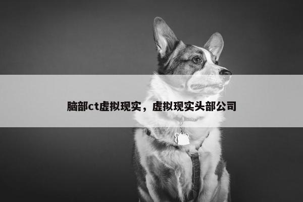 脑部ct虚拟现实，虚拟现实头部公司