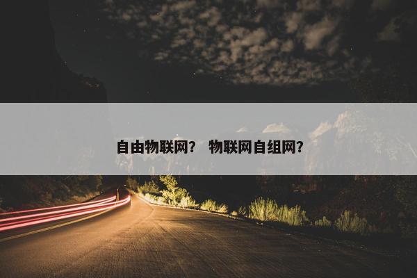 自由物联网？ 物联网自组网？
