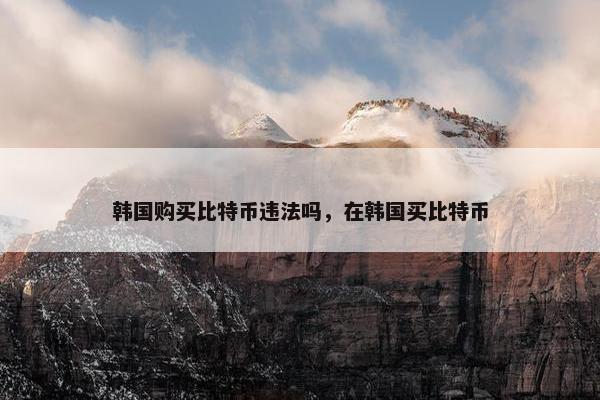 韩国购买比特币违法吗，在韩国买比特币