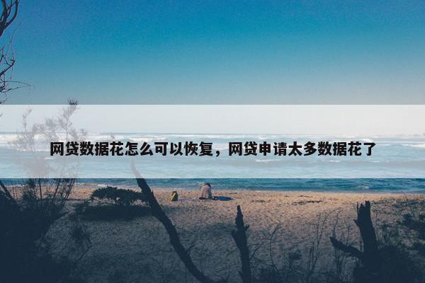 网贷数据花怎么可以恢复，网贷申请太多数据花了