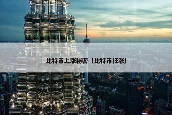 比特币上涨秘密（比特币狂涨）