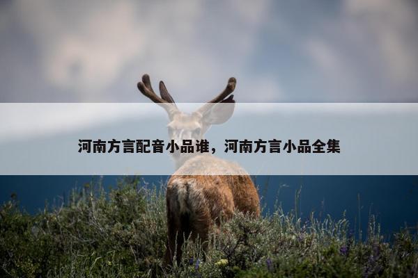 河南方言配音小品谁，河南方言小品全集
