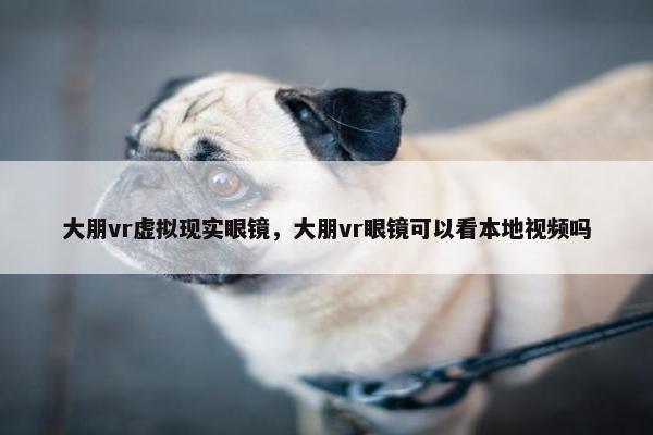 大朋vr虚拟现实眼镜，大朋vr眼镜可以看本地视频吗