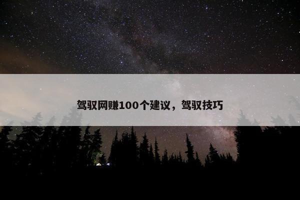 驾驭网赚100个建议，驾驭技巧