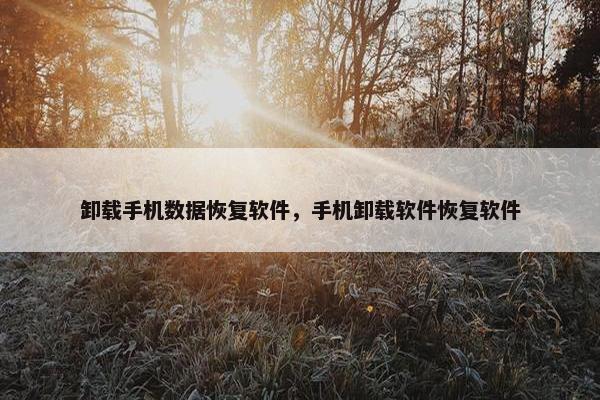 卸载手机数据恢复软件，手机卸载软件恢复软件