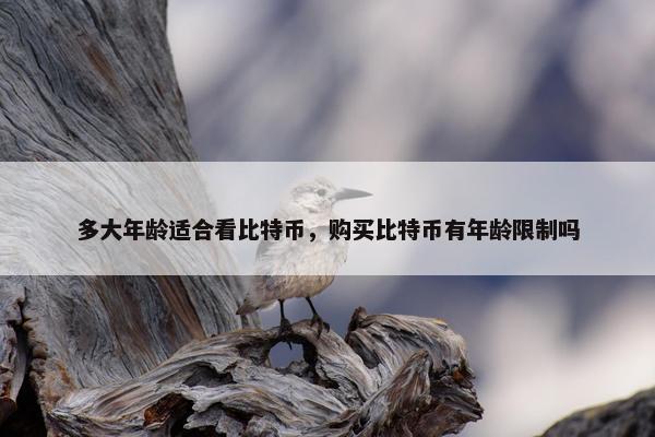 多大年龄适合看比特币，购买比特币有年龄限制吗