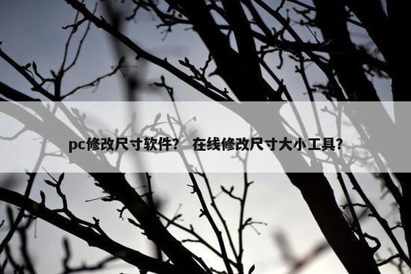 pc修改尺寸软件？ 在线修改尺寸大小工具？