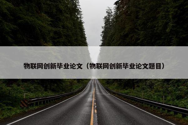 物联网创新毕业论文（物联网创新毕业论文题目）