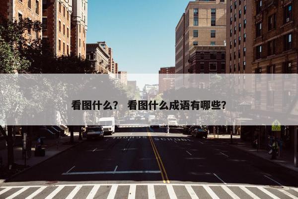 看图什么？ 看图什么成语有哪些？