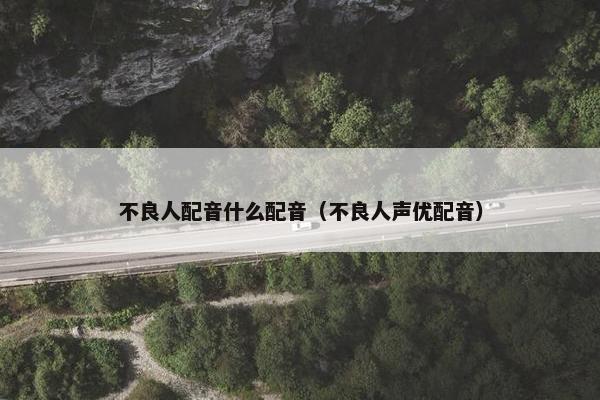 不良人配音什么配音（不良人声优配音）
