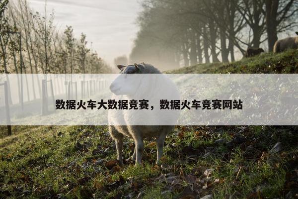 数据火车大数据竞赛，数据火车竞赛网站