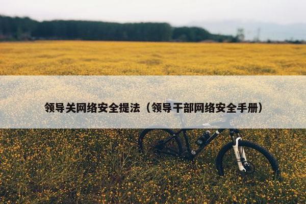 领导关网络安全提法（领导干部网络安全手册）