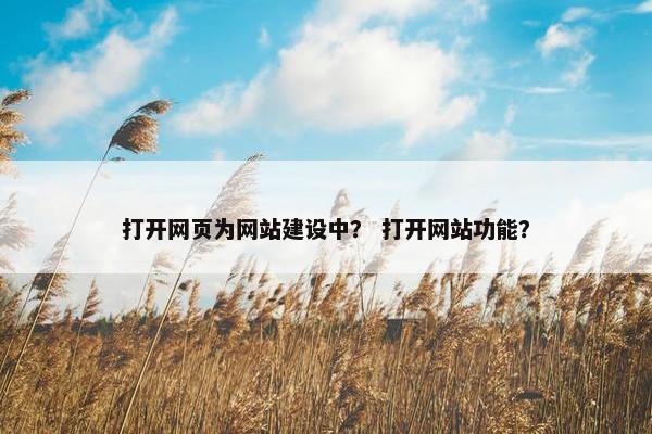 打开网页为网站建设中？ 打开网站功能？