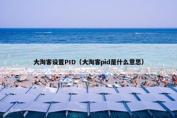 大淘客设置PID（大淘客pid是什么意思）
